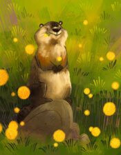 Groundhog eating dandelions in a field.